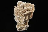 Selenite Desert Rose on Stand - Chihuahua, Mexico #264527-2